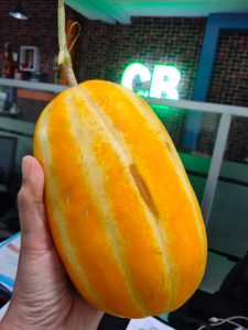 swaracendika.id